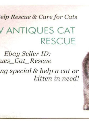 FOR SALE: CAT RESCUE PHOTOGRAPH ;Help Feed Cats &Kittens~Food~